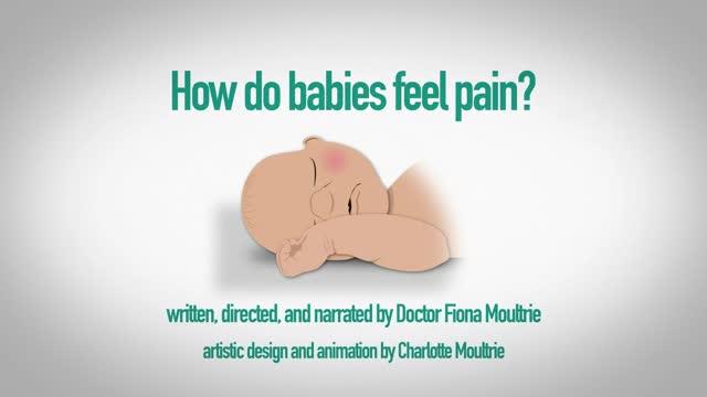 A Brain Scan Detects Pain in Infants (2 of 4)