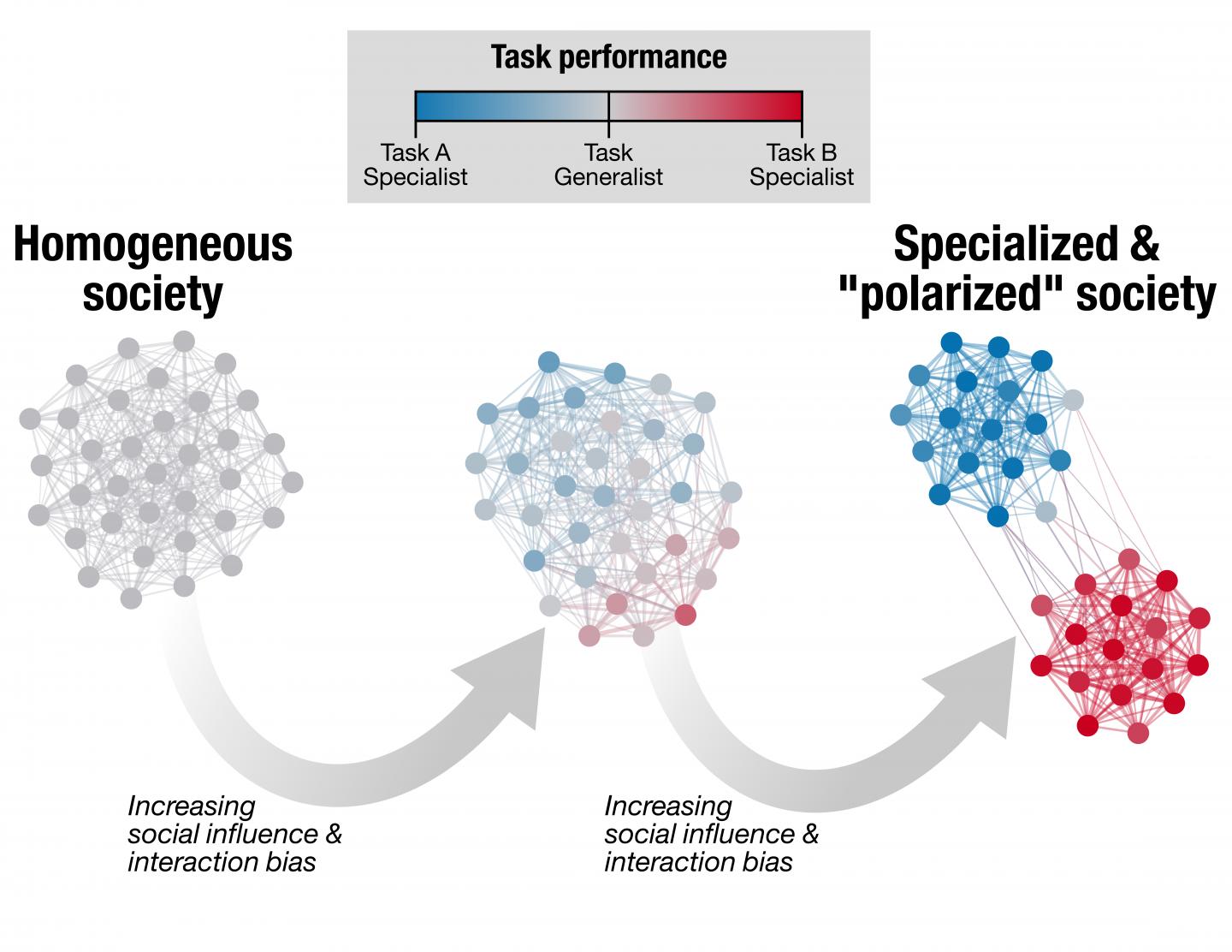Of Ants and Men: Political Polarization Might Mirror Ant Behavior