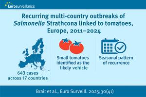 Common vehicle in Salmonella outbreaks