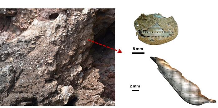 Cueva de los Aviones
