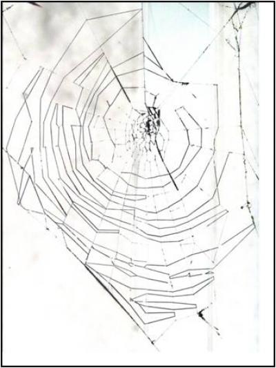 Old web