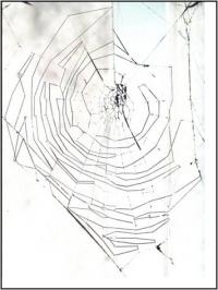 Old web