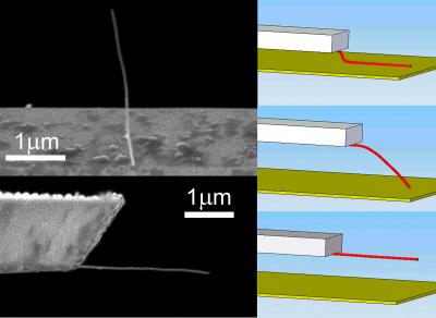 Nanotube