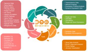 DOO features three specialized analytical modules