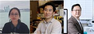 Secret to Drug Addiction Relapse Found: Brain's Addiction Circuit Identified​