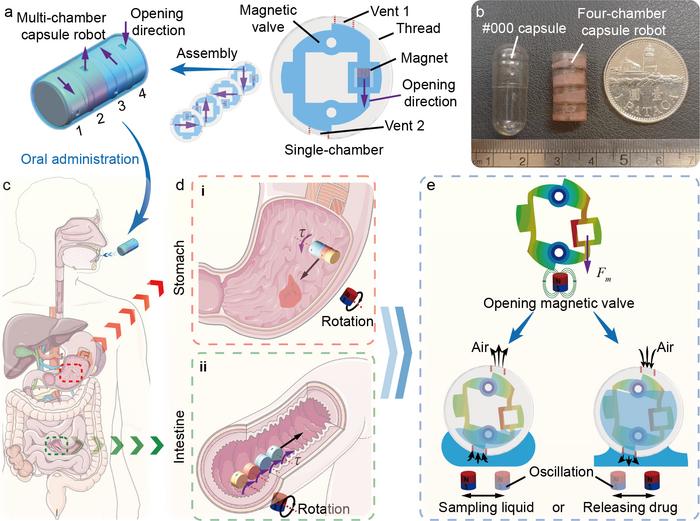 多腔室磁控胶囊机器人概念图