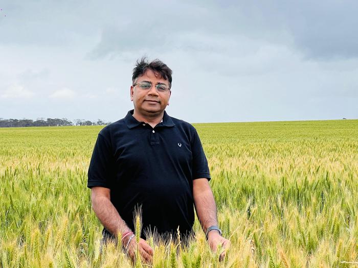 Professor Varshney FAA FRS standing in a wheat field