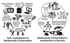 Types of interactions between the arts and conservation