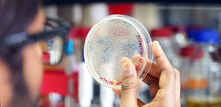 Novel Mechanism of Transcriptional Regulation