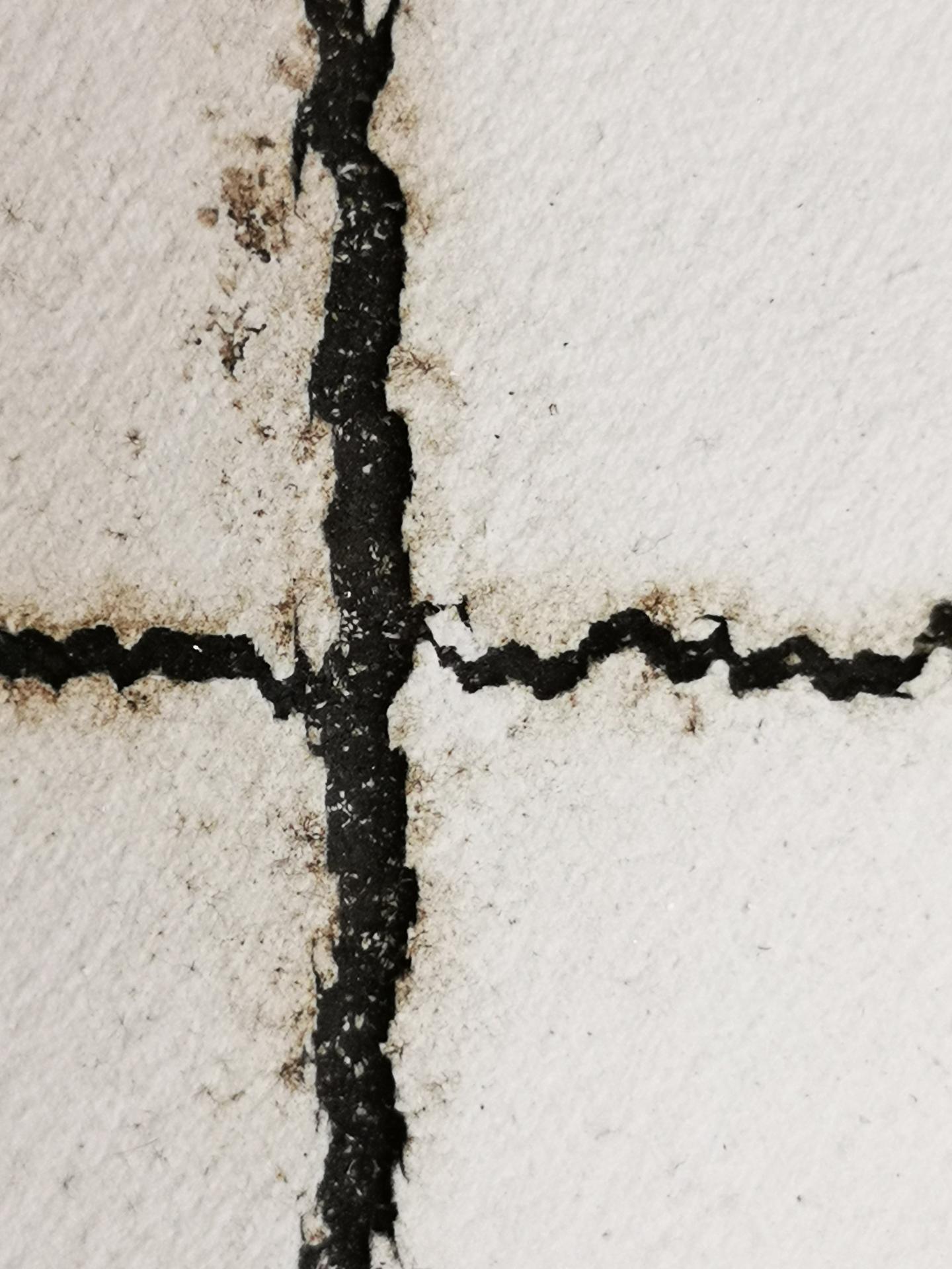 Backsheet cracks