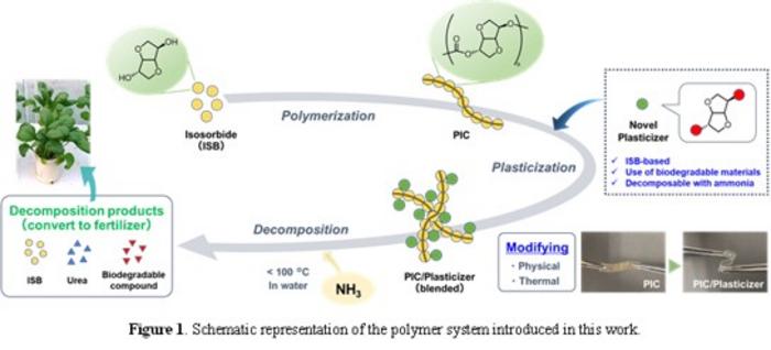 Development of a new plasticizer that converts plastic into fertilizer after use