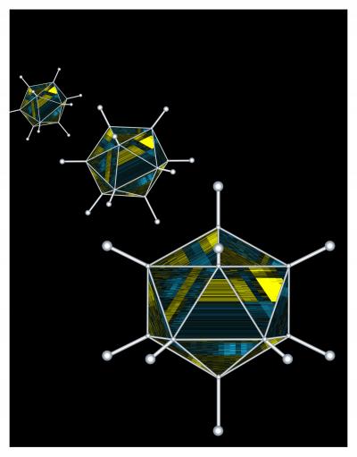 Cell-Cycle Regulation by an Adenovirus (2 of 2)