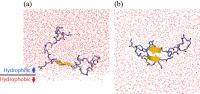 A&#946; Peptide at Interface