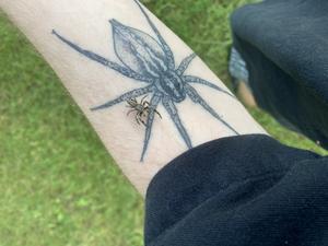 Insects and arachnids are fundamental for human society.
