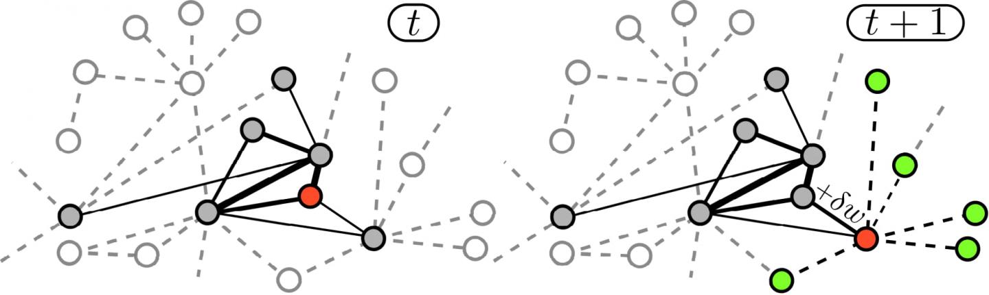 Edge-Reinforced Random Walks
