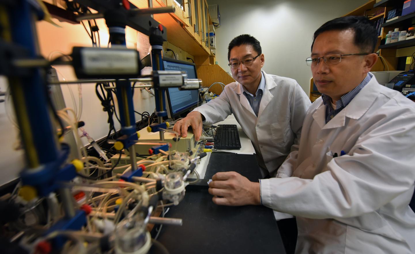 Drs. Yunchao Su (left) and Yuqing Huo