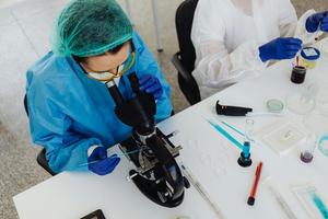 Cancer antibodies