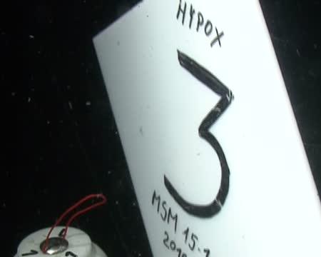 Lack of Oxygen Prevents Organic Matter from Being Recycled in the Black Sea (5 of 9)