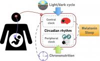 Chrononutrition