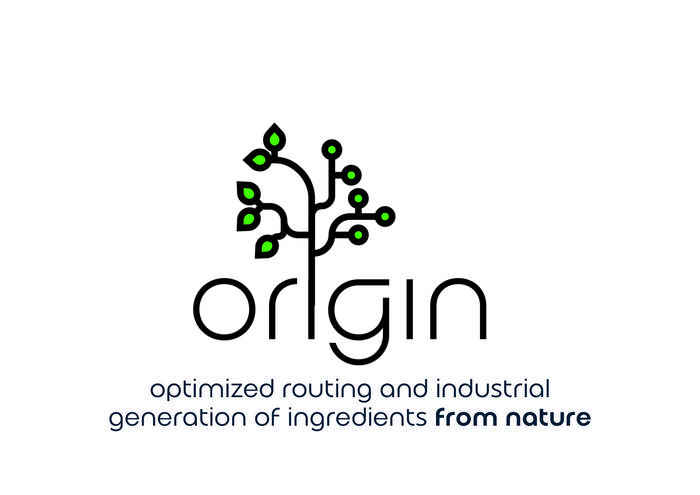 ORIGIN project