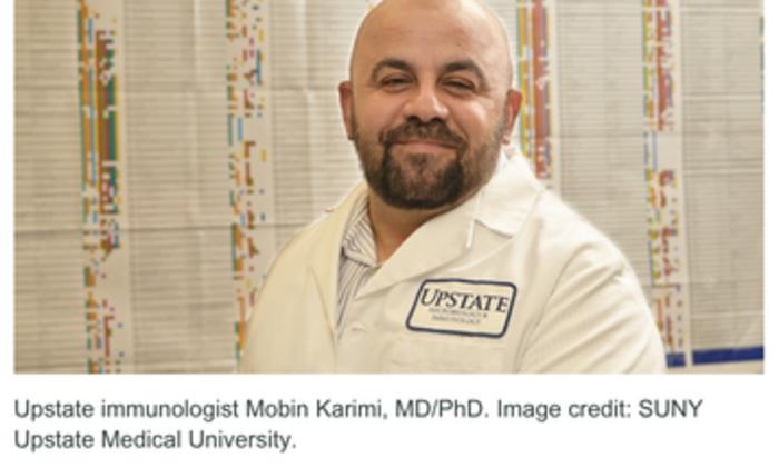 $3.3 million NIH grant funds Upstate research into new immunotherapy for leukemia