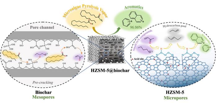 In-depth into the mechanism of aromatic production from catalytic pyrolysis of wet-torrefied microalgae with HZSM-5 coated biochar