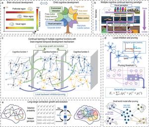 Continual learning of multiple cognitive functions with brain-inspired temporal development mechanism