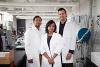 Research Team