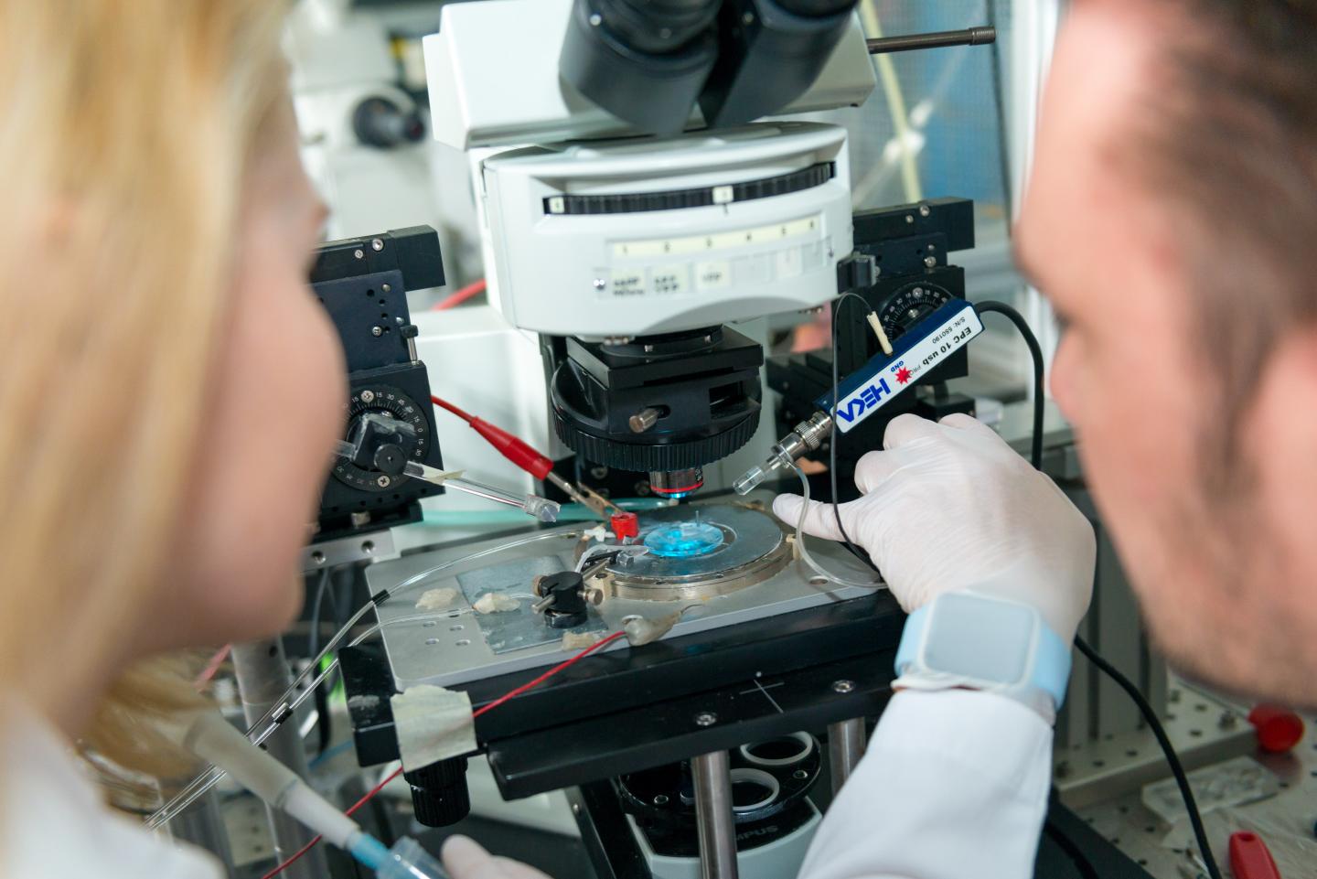 Optogenetics