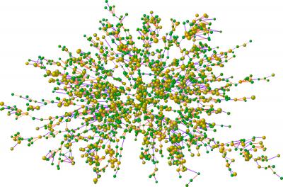 Obesity Social Network