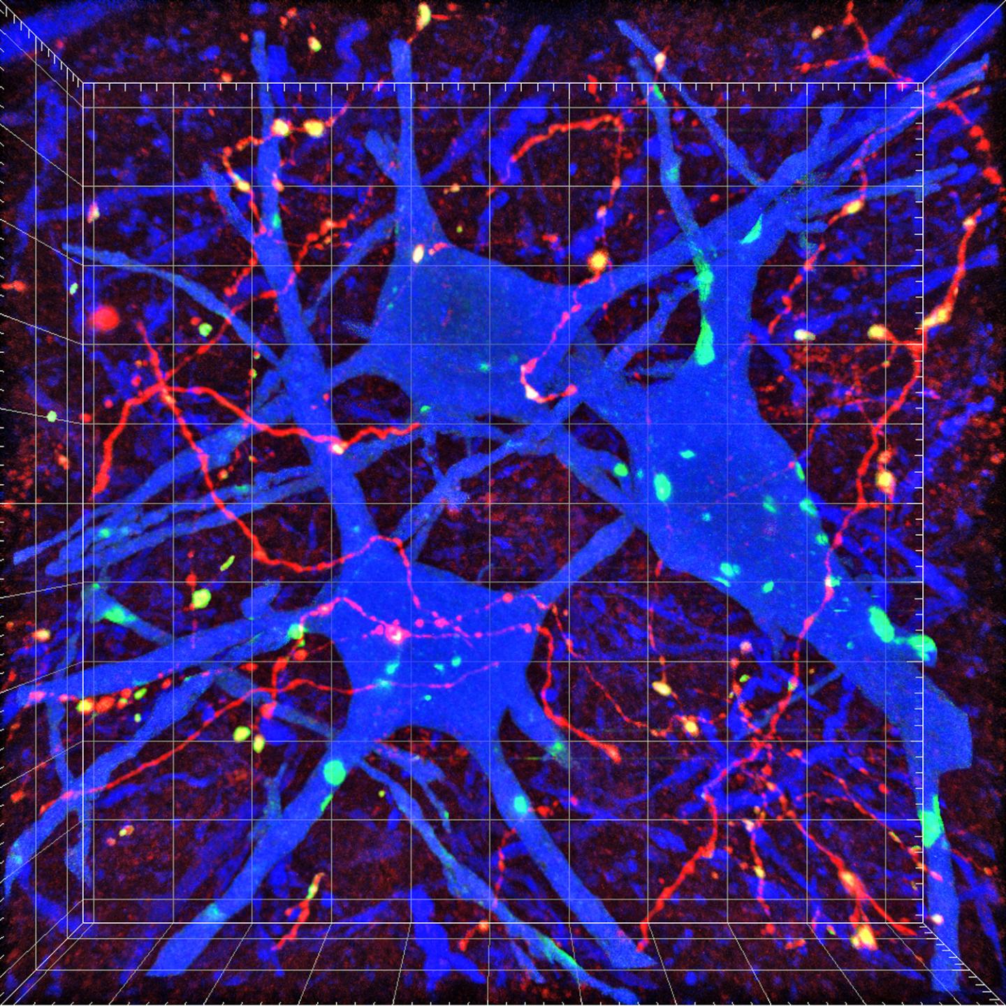 Finding Connections