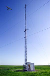 Observation Flight and Tower (2 of 2)