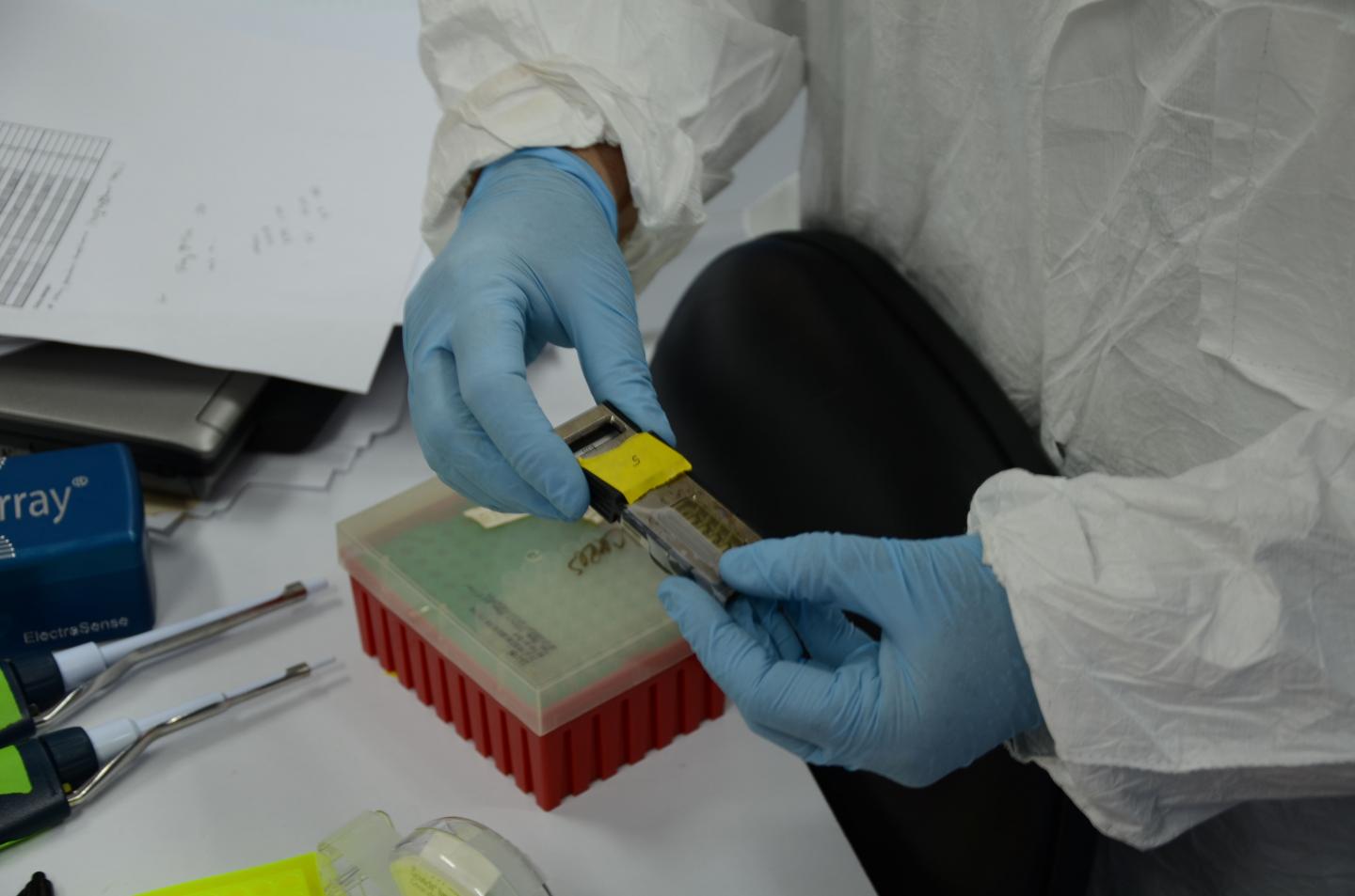 NRL Microarray Test