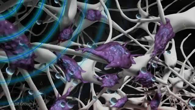 Tiny Bubbles Help Heal Broken Bones, In Pigs