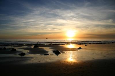 Petroleum Seeps