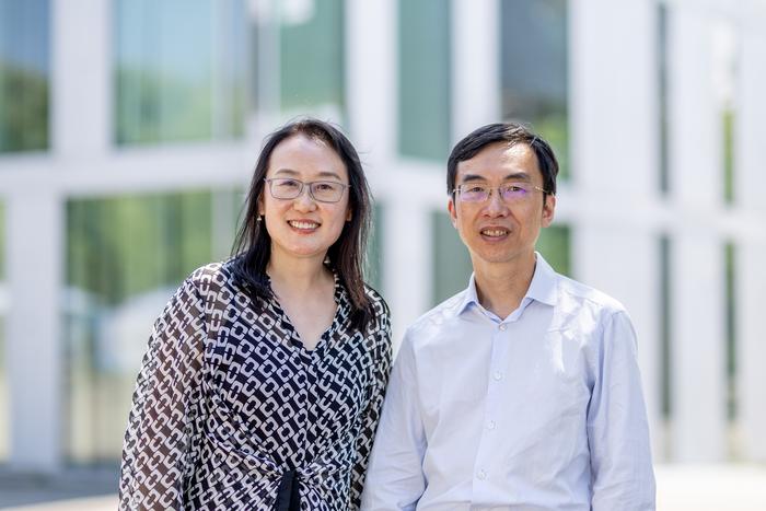 Research cooperation on DNA nanotechnology: Prof. Chunhai Fan, recipient of the Humboldt Research Award, and Prof. Laura Na Liu.