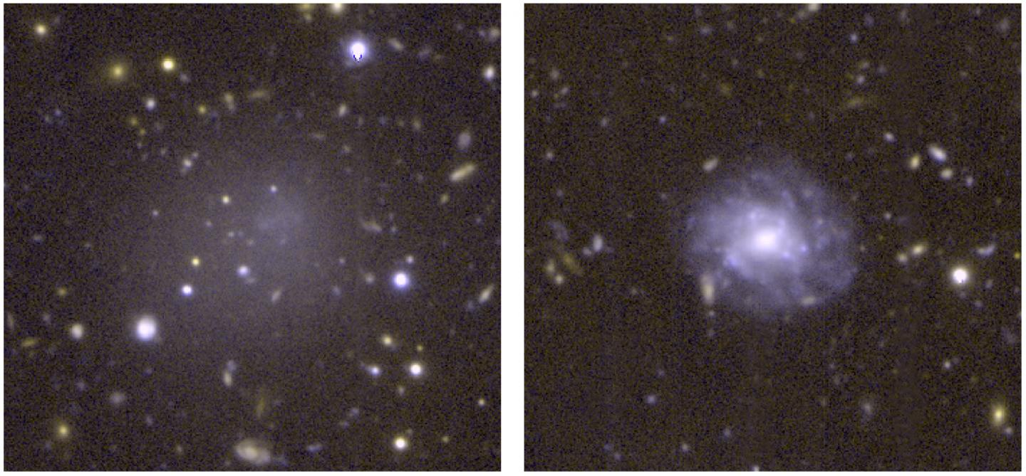 Comparison of a UDG to a Spiral Galaxy