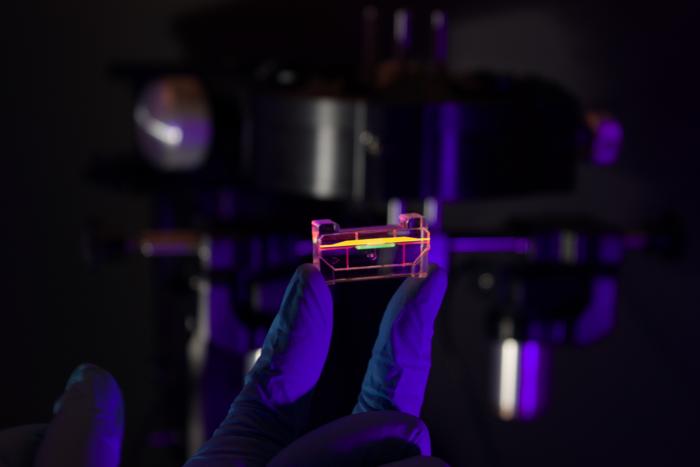 Lung-on-a-chip 2
