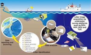 A roadmap for combating marine litter across the globe