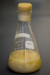 Biomass