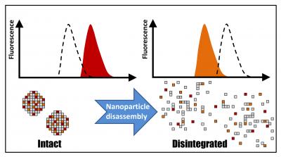 Nanoparticle Disassembly