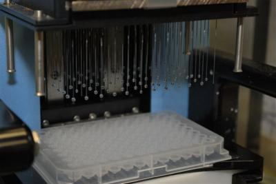 BRCA1/2 Analyses