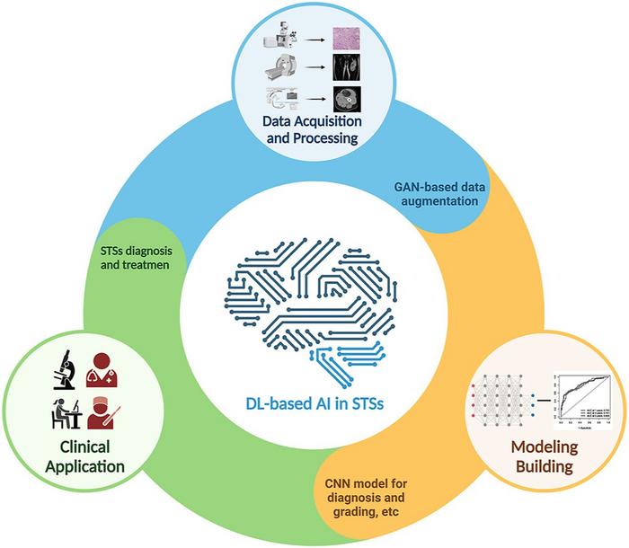 How the DL-based AI in STSs WORK