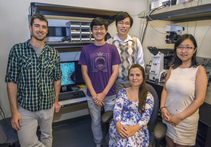 Ke Xu and Team