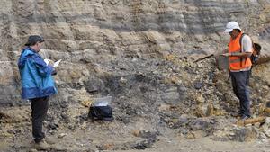 First Mesozoic amber deposit with preserved insects discovered in South America