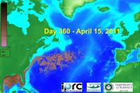 Oil Spill Spread -- Day 360