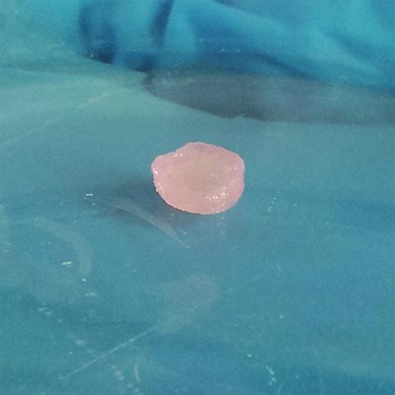 Engineered Cartilage