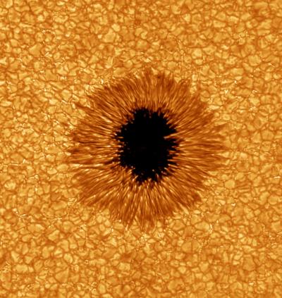 Sunspot