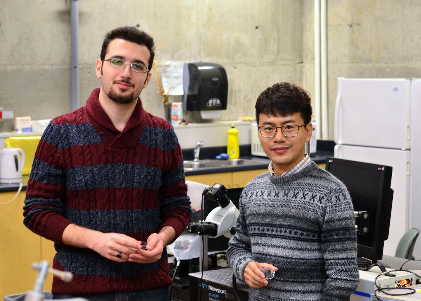 UBC Researchers