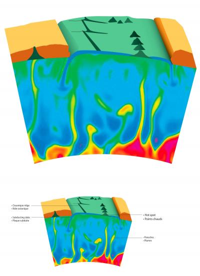 Artist's View of Mantle Plumes